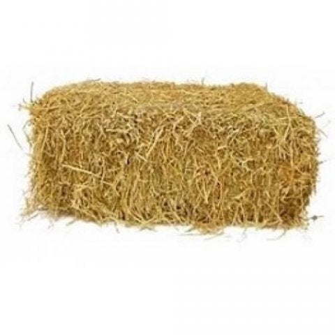 kleine balen of botten stro van tarwe van goede kwalitieit., Dieren en Toebehoren, Ophalen, Vee