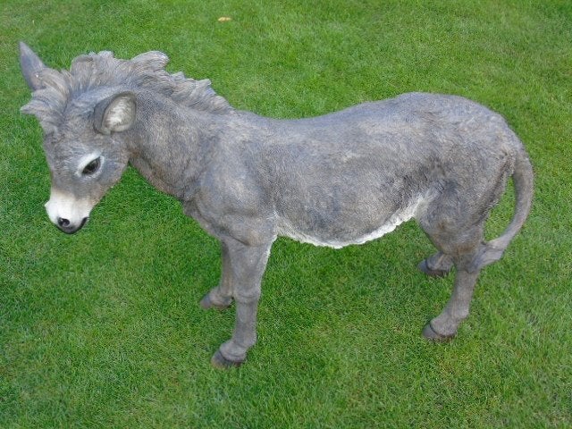 ezelbeeld van polyresin, H 80 X B 1m10, uitverkocht!, Ophalen, Zo goed als nieuw, Kunststof, Dierenbeeld