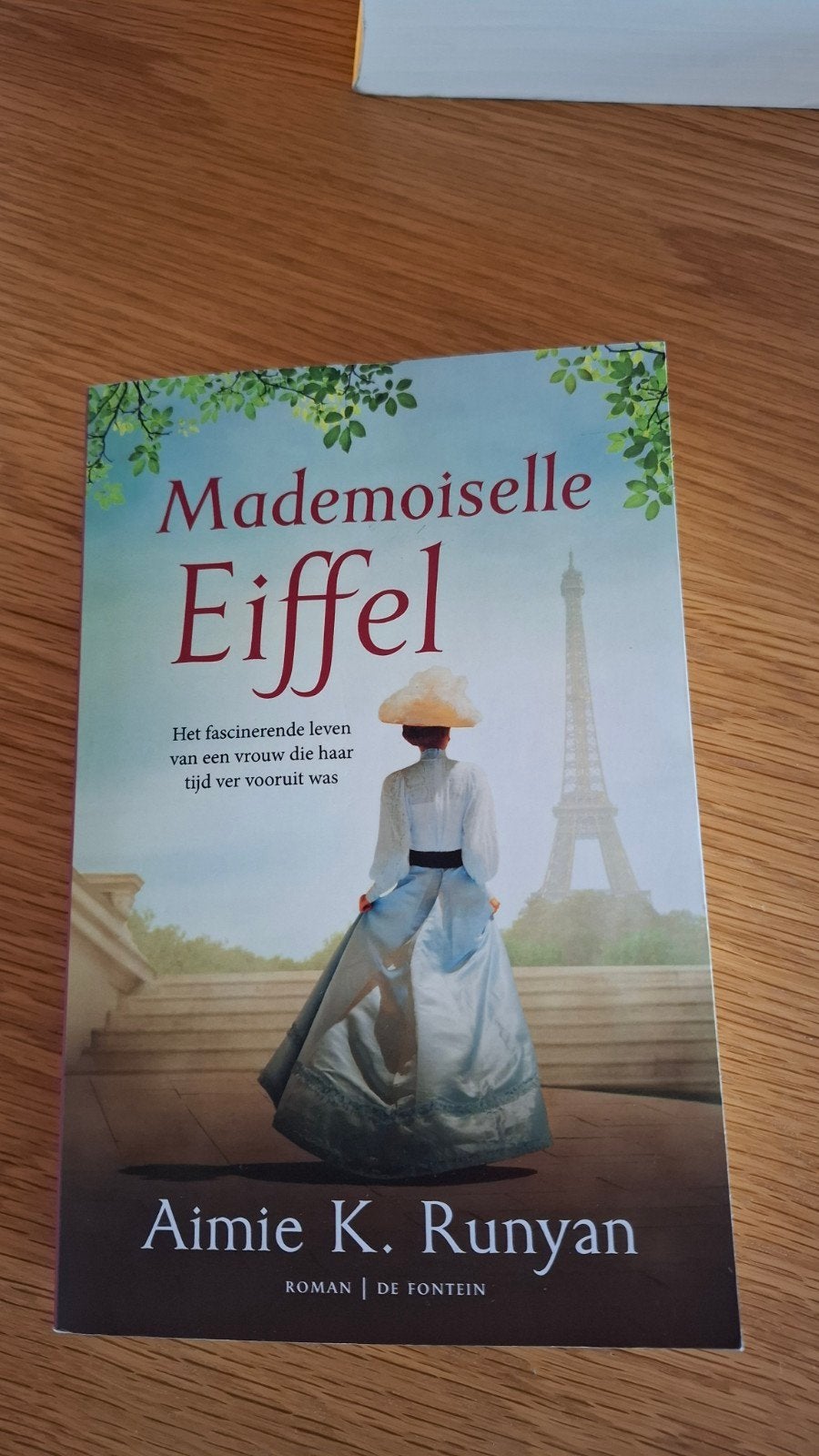 Mademoiselle Eiffel, Enlèvement