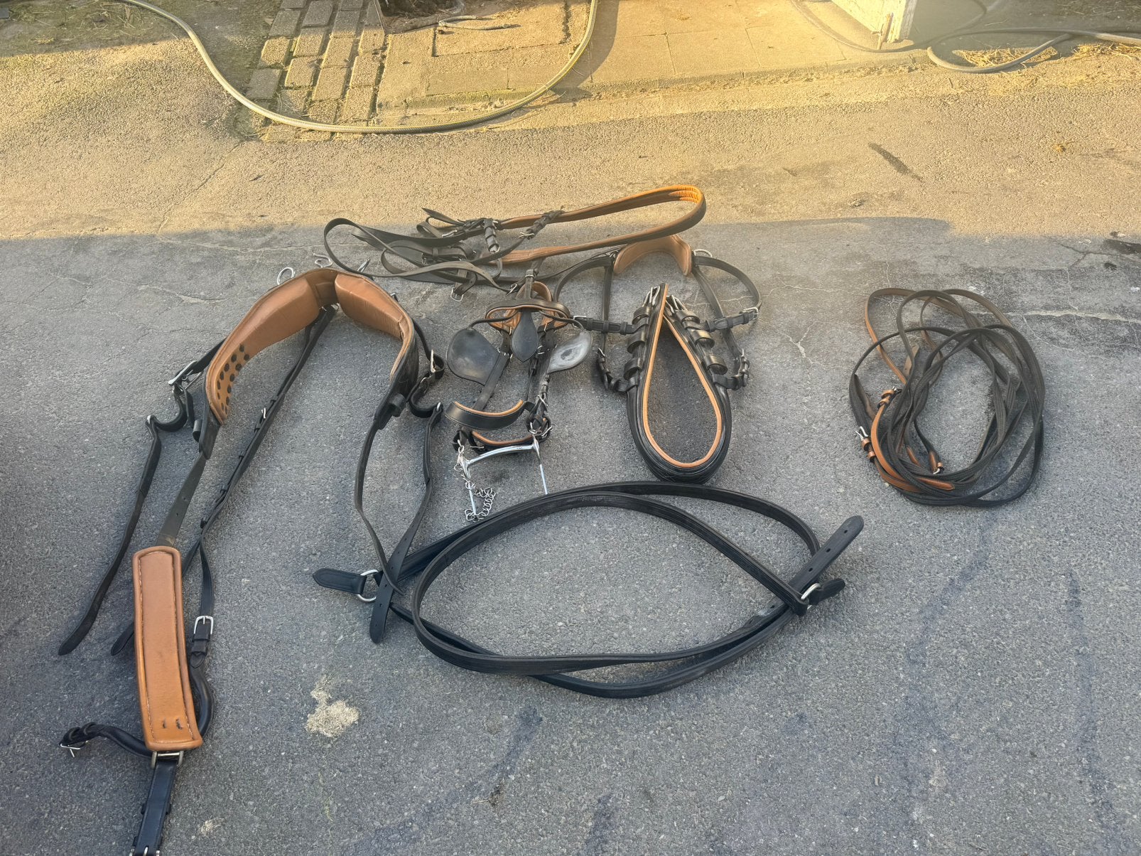 Ideal mentuig full, Dieren en Toebehoren, Paarden en Pony's | Hoofdstellen en Tuigage, Ophalen, Zo goed als nieuw, Mentuig, Full