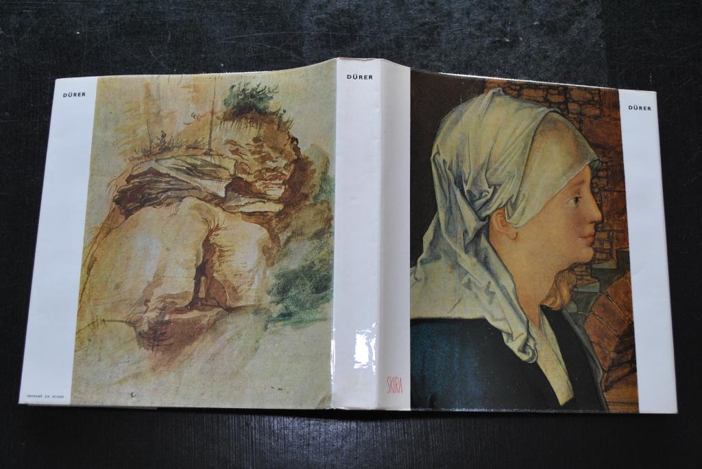 Ludwig GROTE DÜRER EDITIONS ALBERT SKIRA 1965 RARE albert, Gelezen, Ludwig GROTE, Ophalen of Verzenden, Schilder- en Tekenkunst