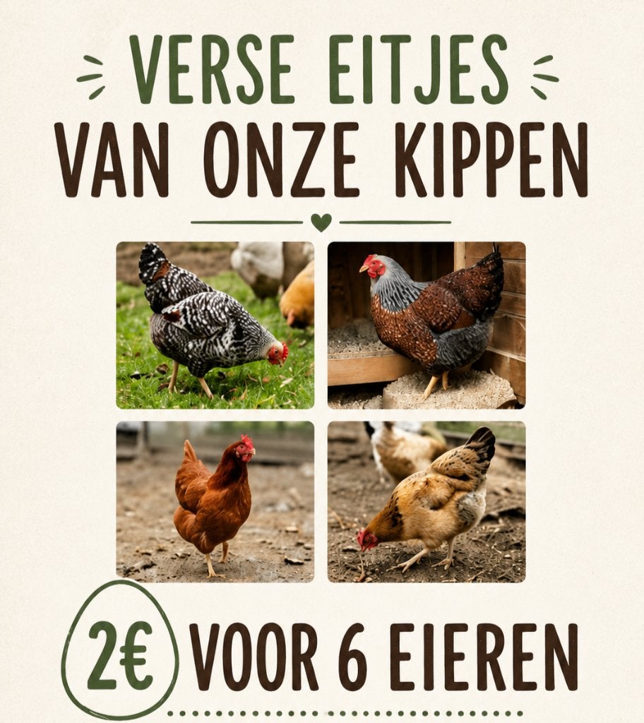 Verse eitjes van onze kippen 2euro voor 6, Ophalen