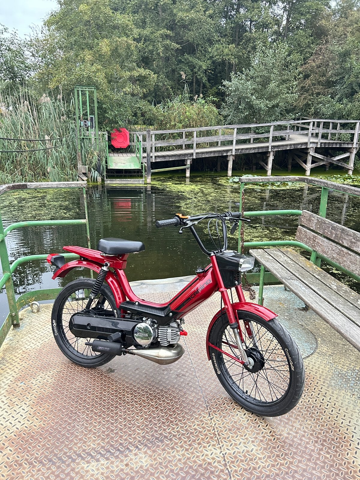 Honda Camino WAARDEPEILING, Neuf, Autres modèles, 0 vitesses, Classe B (45 km/h)