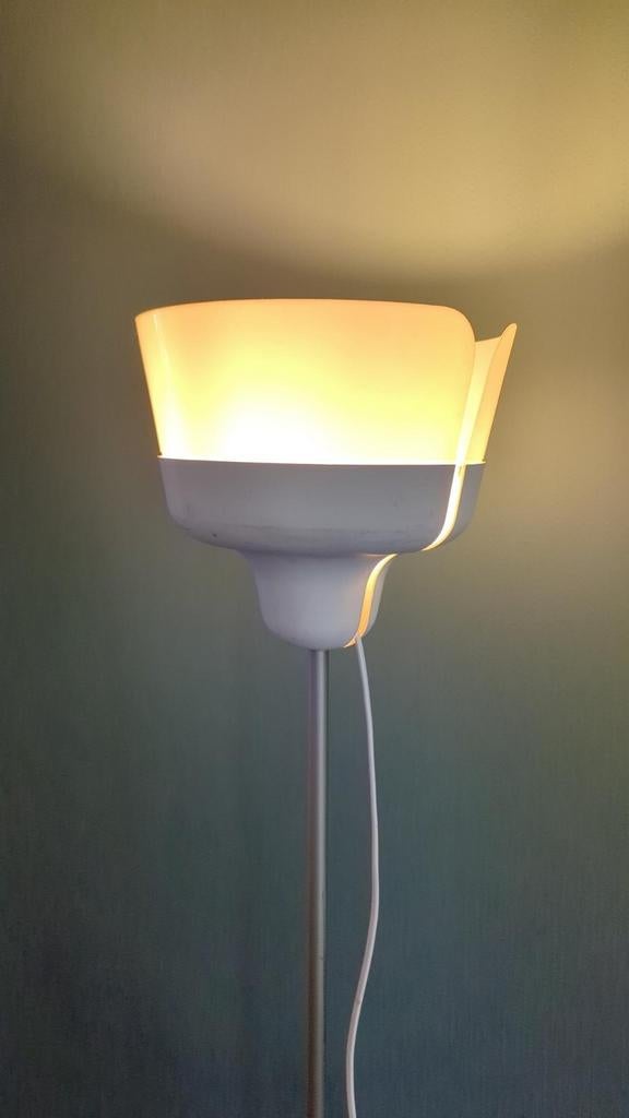 Lampe, Enlèvement