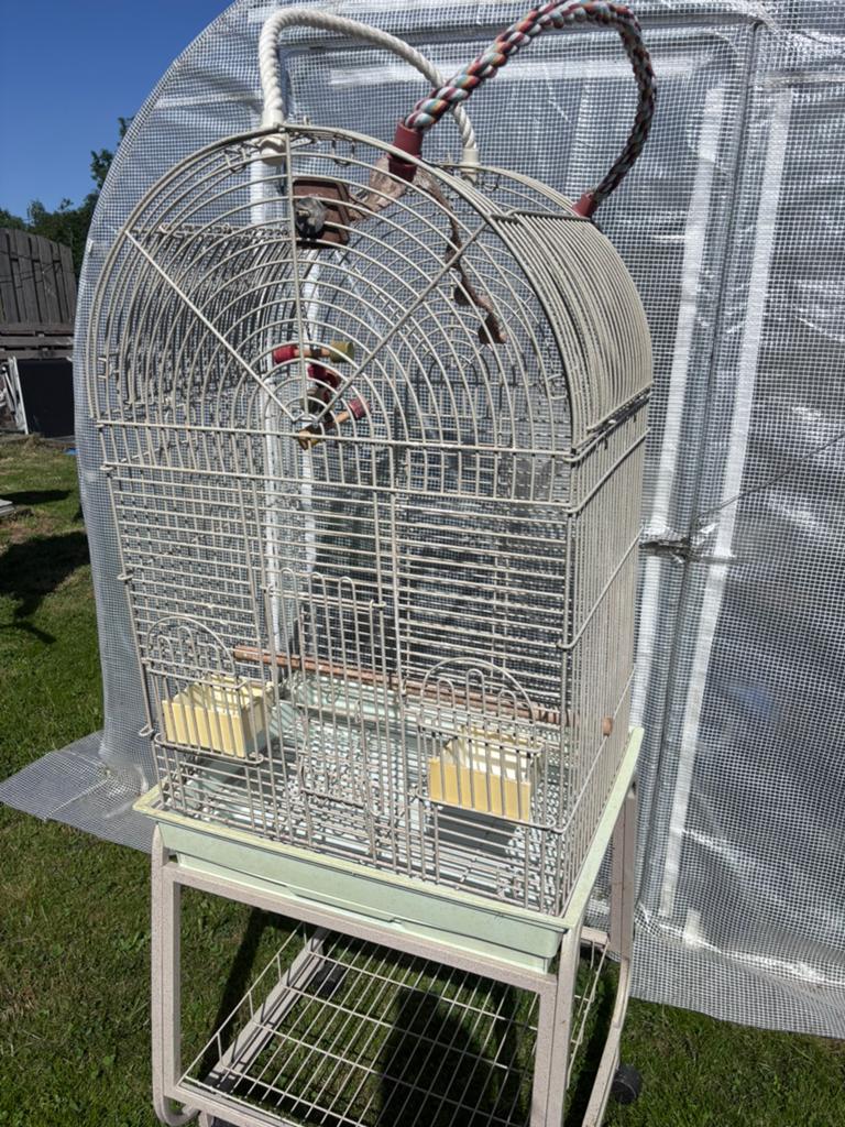 Cage oiseay, Enlèvement, Utilisé