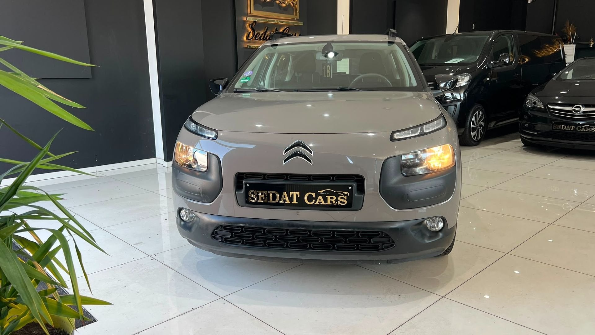 CITROEN C4 CACTUS 1.2 BENZINE AUTOMAAT VAN 1STE EIGENAAR, Auto's, Euro 6, 1199 cc, Bruin, Bedrijf