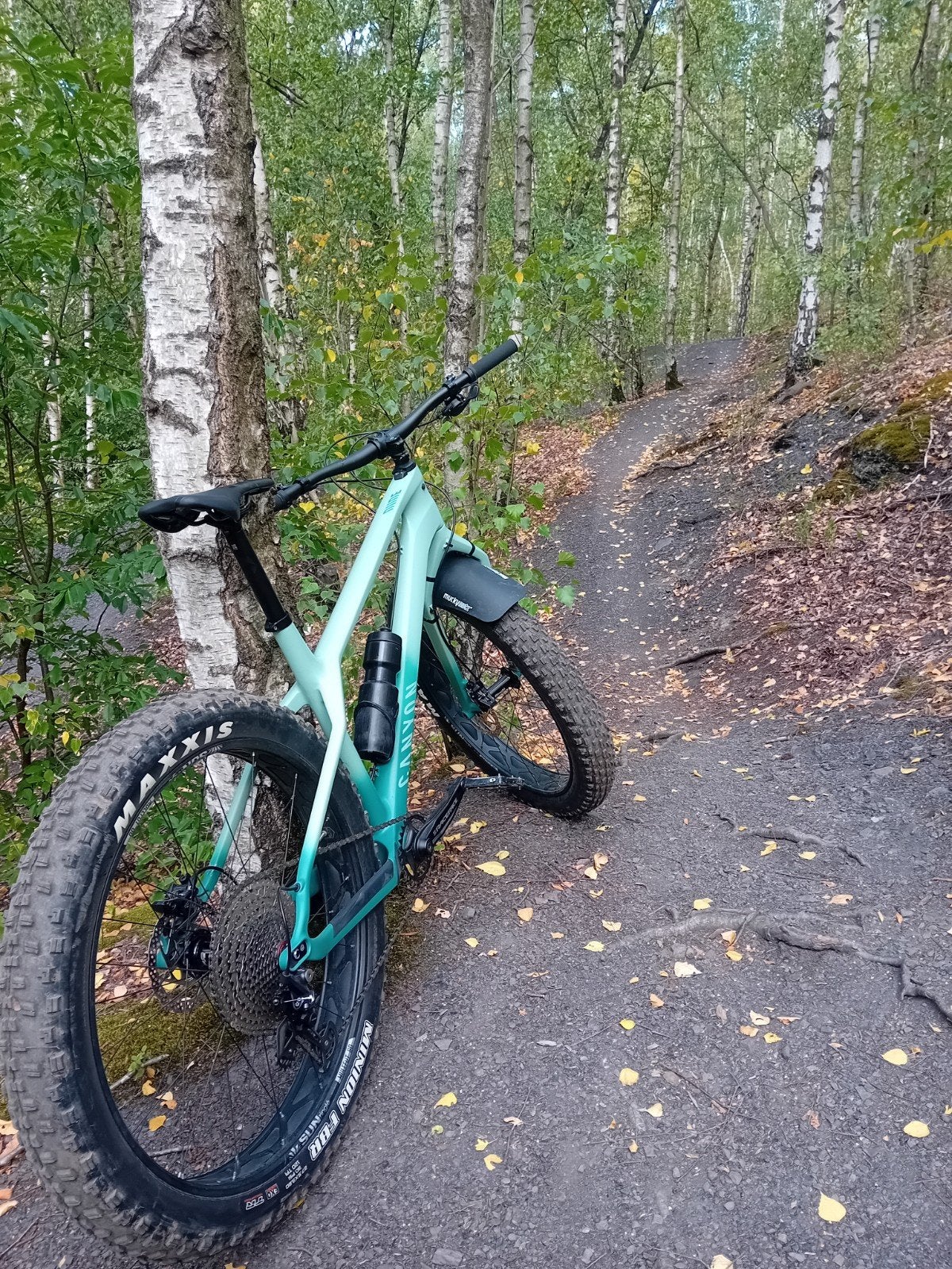 Canyon Dude Cf NIEUW, Fietsen en Brommers, Ophalen, Zo goed als nieuw, Gazelle