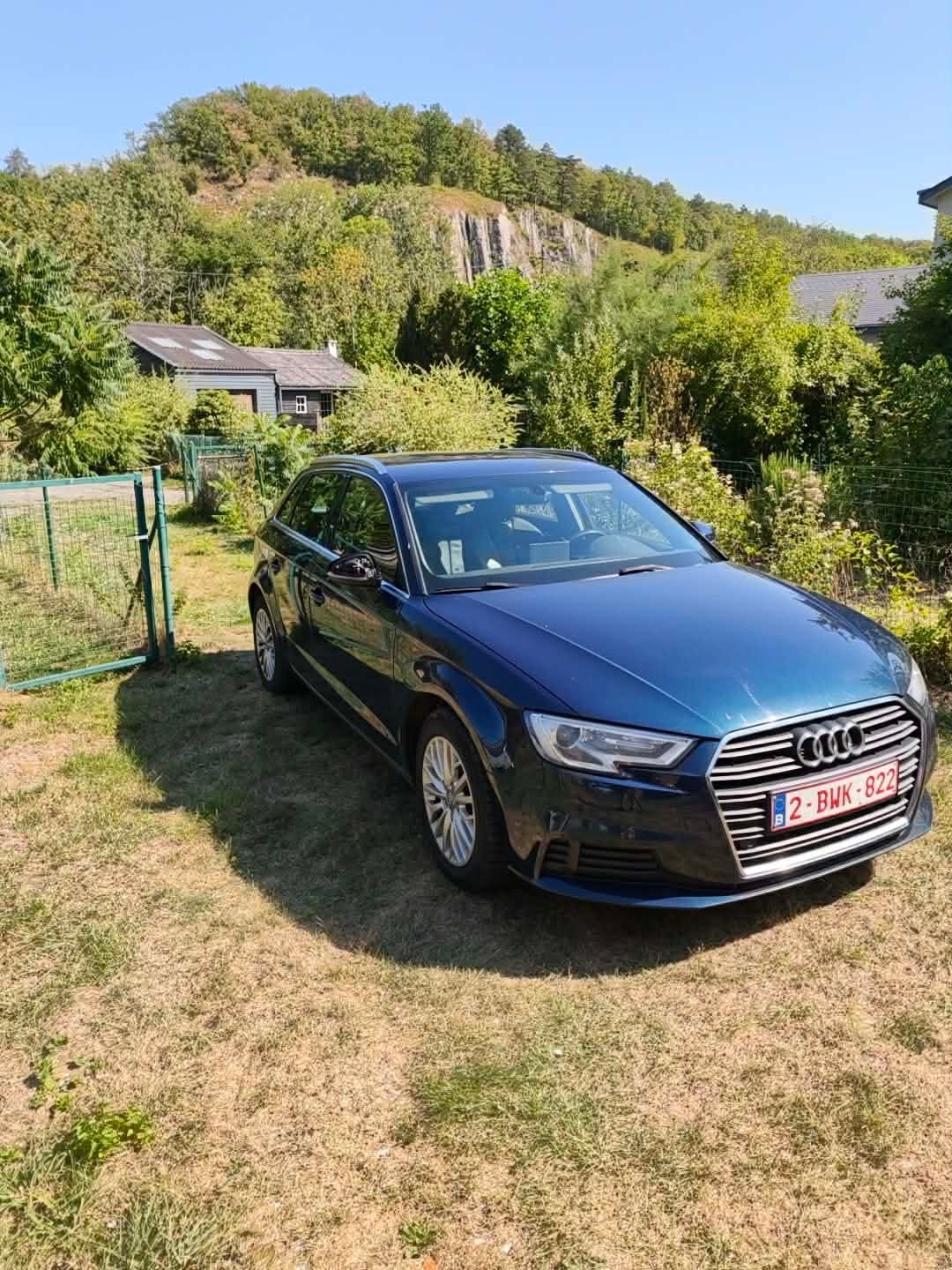 Audi a3 sportback 2017 euro6B 1.6 tdi 190 000km, Autos, Achat, Particulier, A3, Électrique