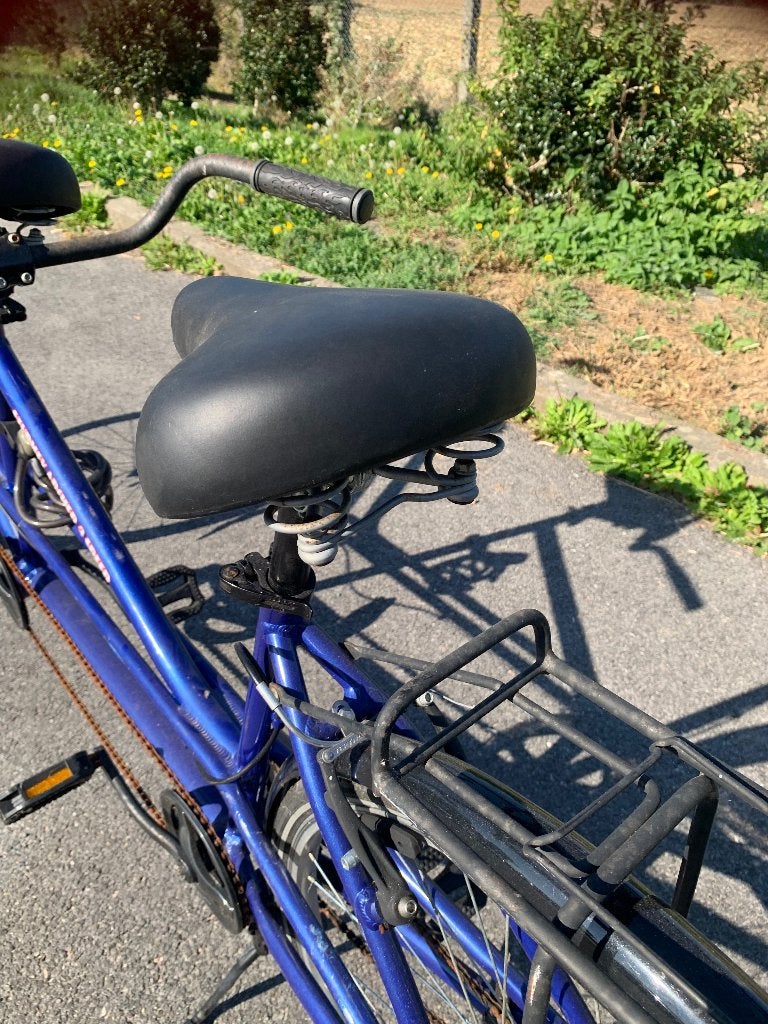 Tandem bleu, Vélos & Vélomoteurs, Enlèvement, Comme neuf, Moins de 10 vitesses