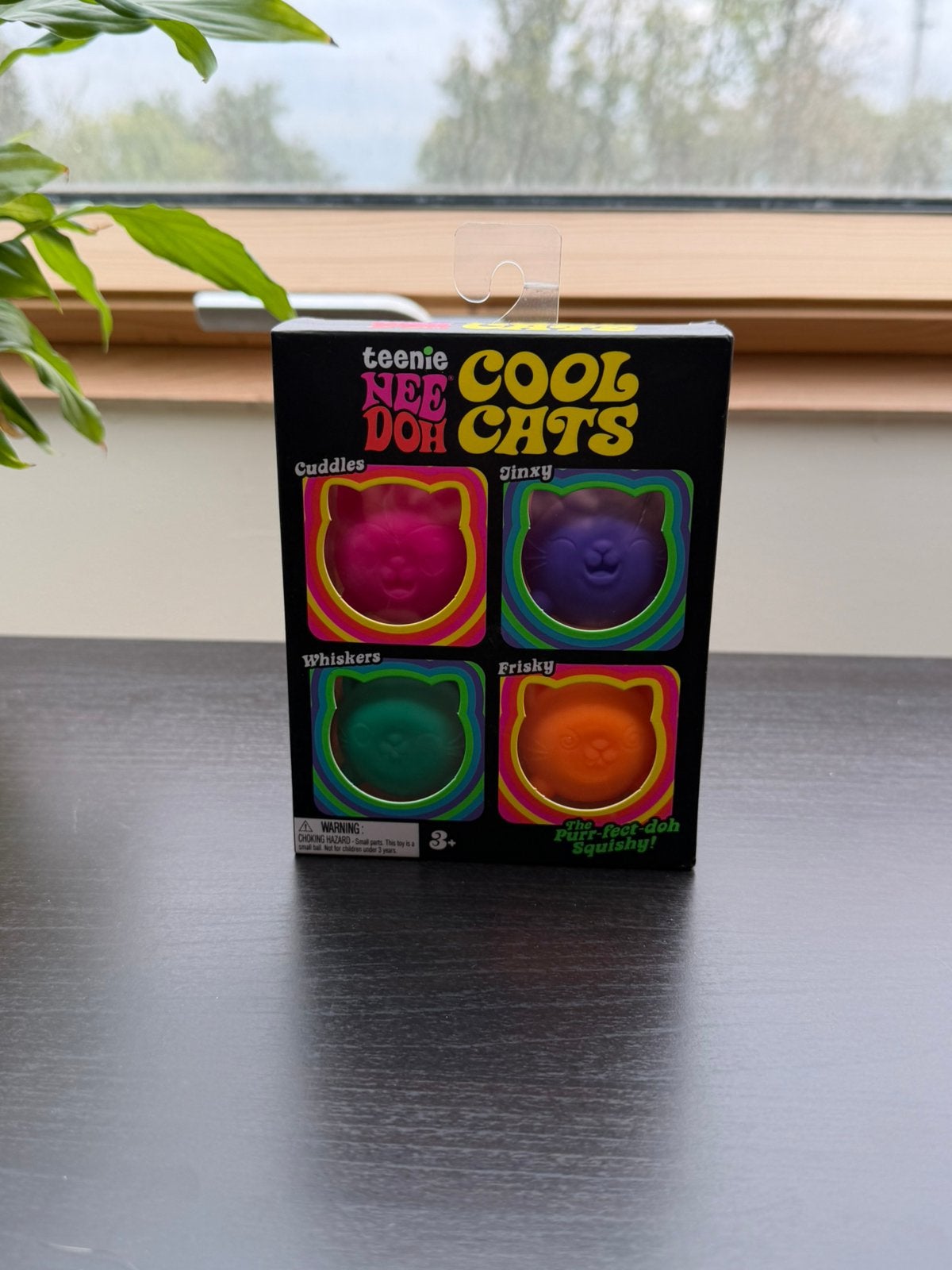 NeeDoh Schylling Teenie Cool Cats, Ophalen of Verzenden, Nieuw