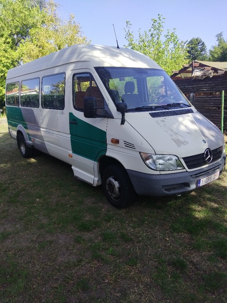 School Bus Mercedes 413 CDI, Autres modèles, Achat, Boîte manuelle, Diesel