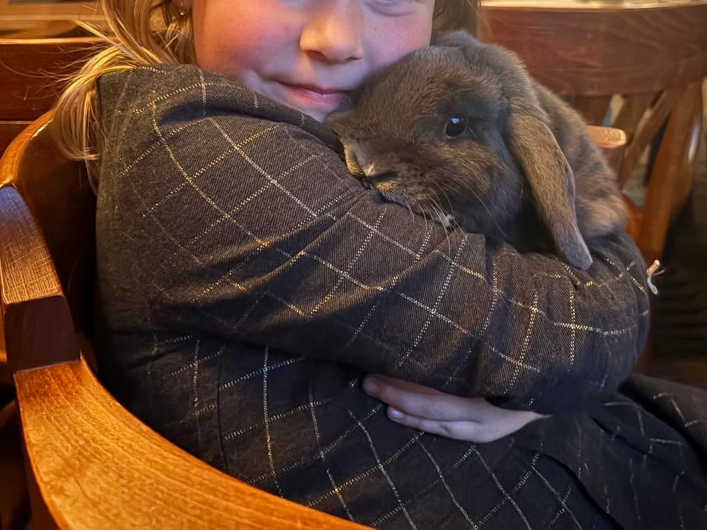 Super lief konijntje