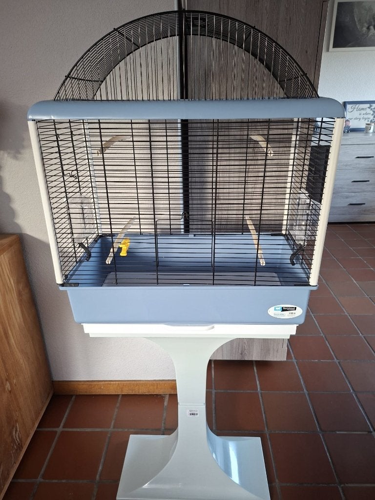 Vogelkooi kanarie, Dieren en Toebehoren