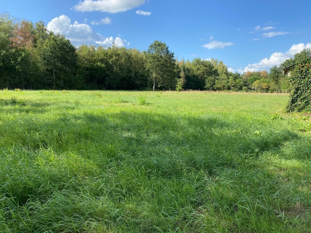 Weiland te Oelegem, Oelegem, Verkoop zonder makelaar, 1500 m² of meer