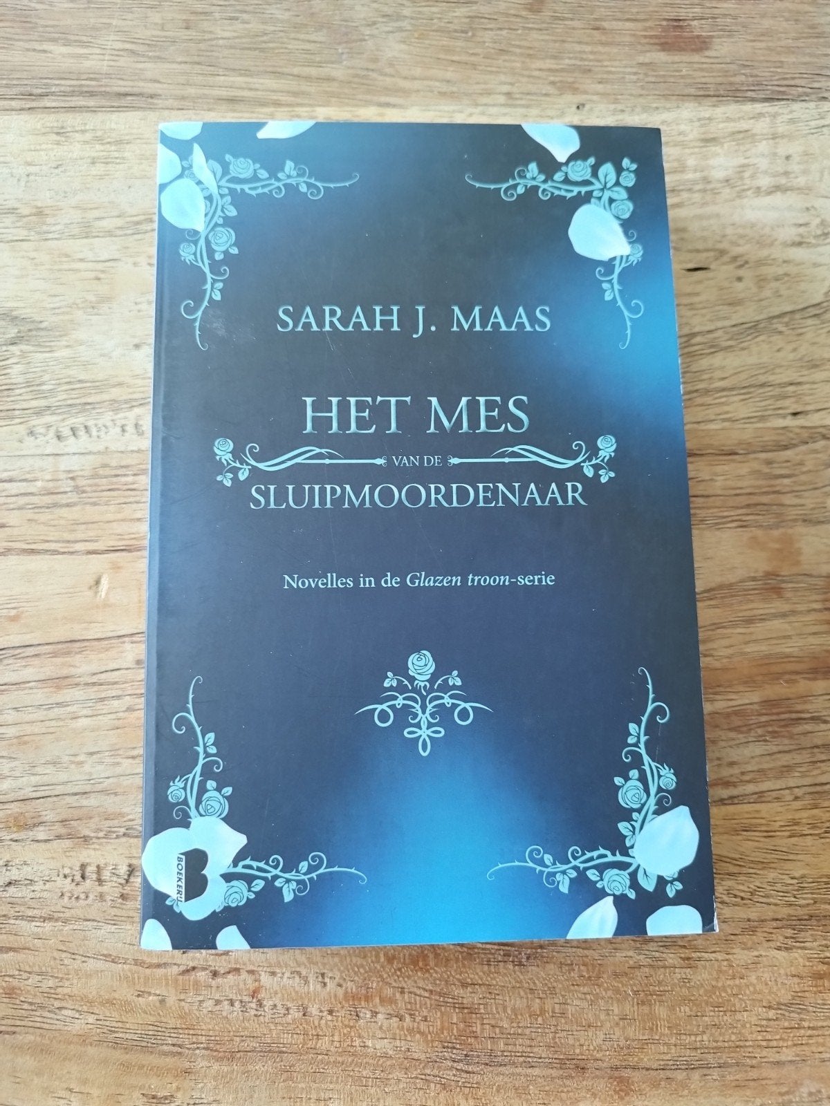 Sarah J. Maas - Het mes van de sluipmoordenaar, Ophalen, Sarah J. Maas
