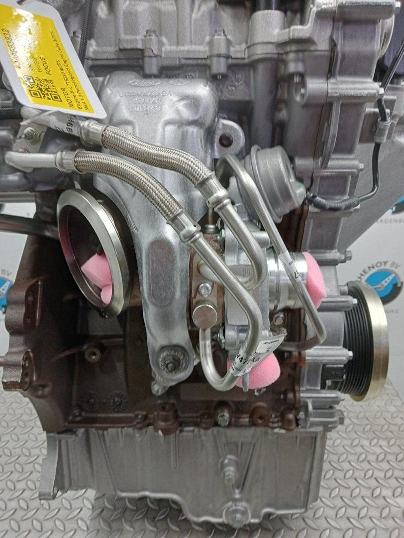 FORD FOCUS TURBO L1BG6K682AA 2023, Ophalen of Verzenden, Gebruikt, Stiba lid
