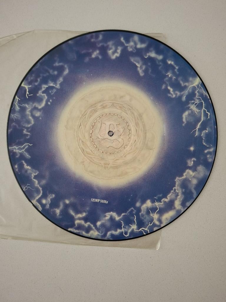 Whitesnake Still of the night picture disc lp, Picture disc, Ophalen of Verzenden