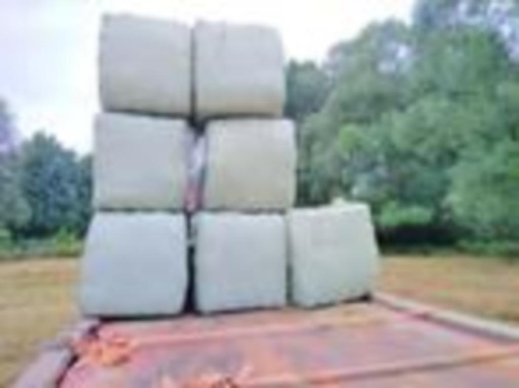 grote rechthoekige balen voordroog hooi ~80/90/170  ~300kg, Ophalen of Verzenden, Overige soorten