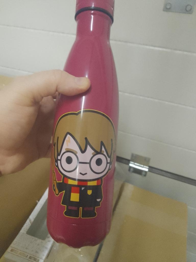 geisoleerde drinkfles harry potter metaal  nieuw in doos, Verzamelen, Ophalen of Verzenden, Nieuw, Gebruiksvoorwerp