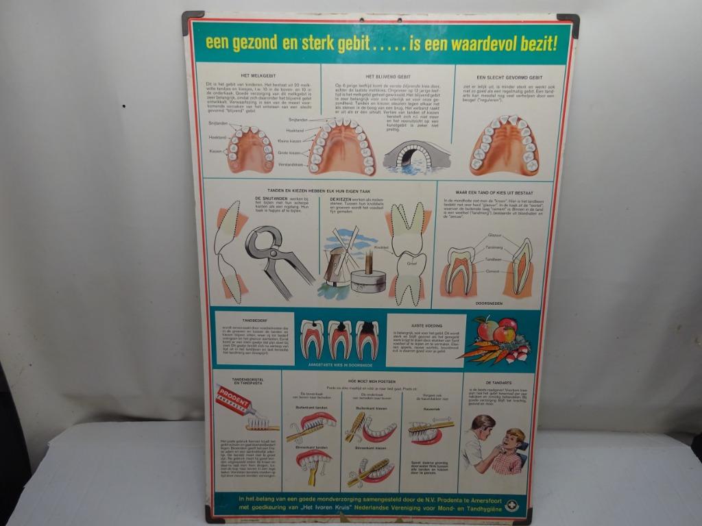 Grote pancarte van Prodent tandpasta,jaren ''60., Verzamelen, Merken en Reclamevoorwerpen, Ophalen of Verzenden, Gebruikt, Reclamebord