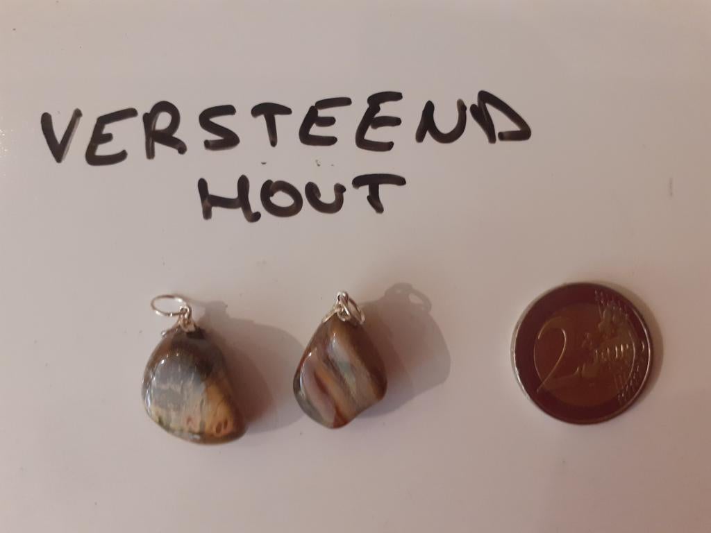 Versteend hout hanger, Ophalen of Verzenden, Nieuw