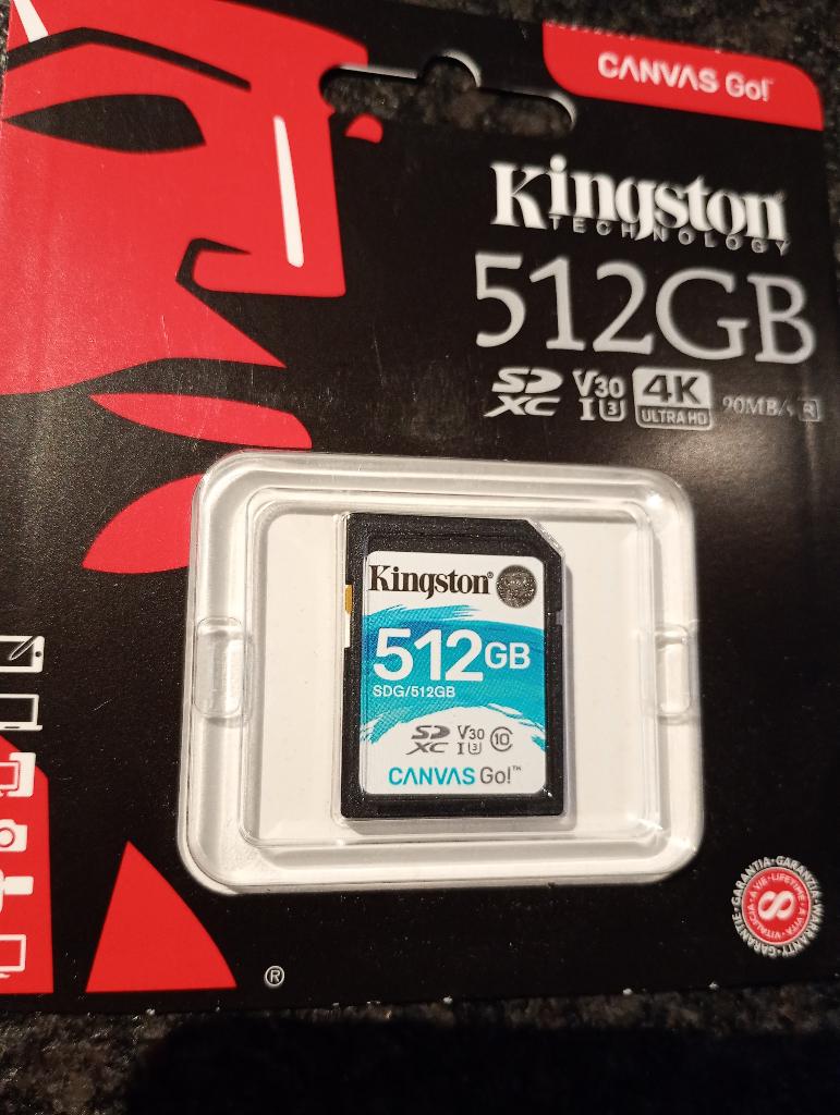 SD kaart 512GB Kingston Go! (nieuw!), Audio, Tv en Foto, Foto | Geheugenkaarten, Ophalen, SD, 512 GB, Videocamera