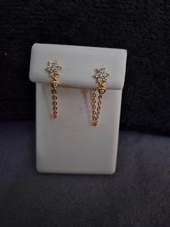 Nieuwe zilveren vergulde oorbellen, Bijoux, Sacs & Beauté, Boucles d'oreilles, Neuf, Enlèvement ou Envoi, Or, Avec strass