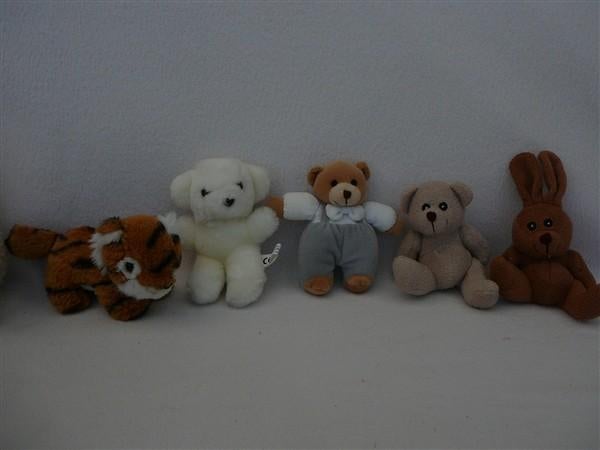 5 mooie  knuffeltjes Nieuw, Ophalen of Verzenden, Nieuw