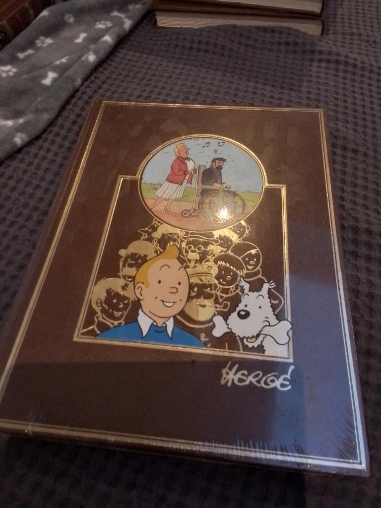 Tintin, Enlèvement ou Envoi