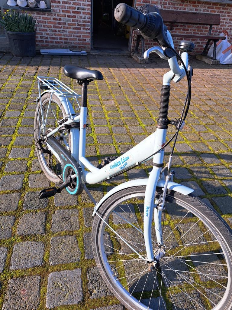 Golden Lion kinderfiets 24 inch, Fietsen en Brommers, Ophalen, Gebruikt, 20 inch of meer, Golden Lion
