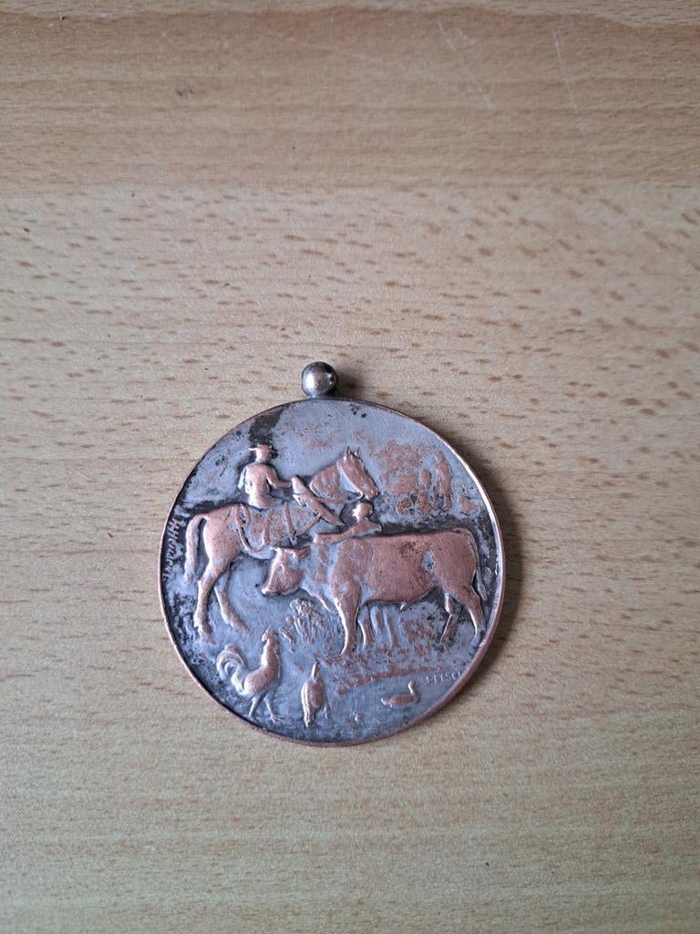 Oude medaille, Enlèvement ou Envoi