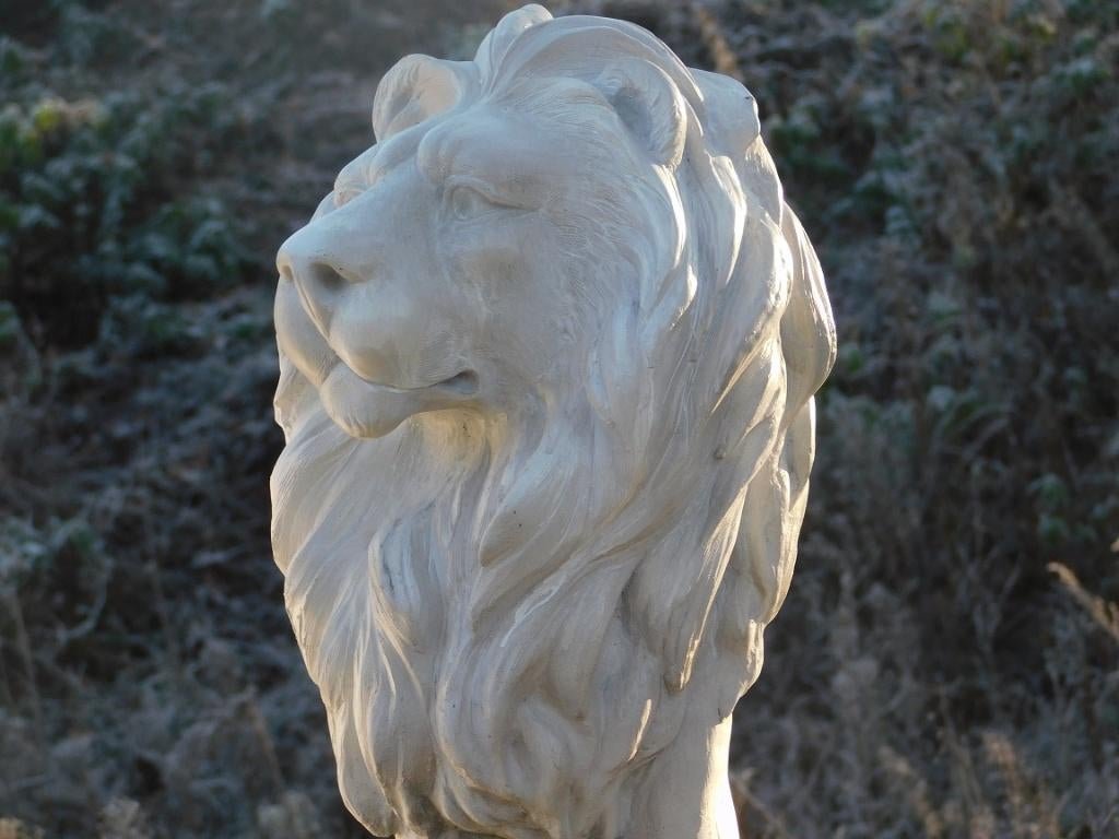 Mooie zittende leeuw, polystone, prachtig beeld, Tuin en Terras, Tuinbeelden, Ophalen of Verzenden, Kunststof, Dierenbeeld
