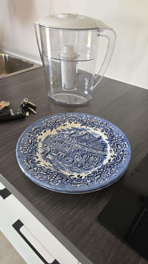 Prachtige dinerborden Royal Tudor Ware. 2 stuks, Ophalen, Zo goed als nieuw