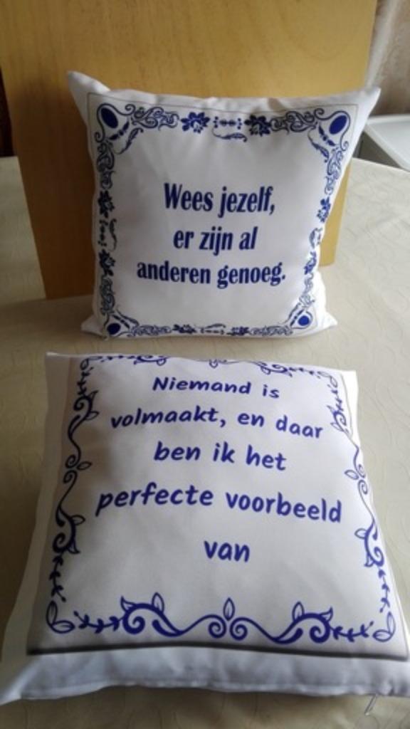 2 decoratieve kussens, Ophalen, Nieuw