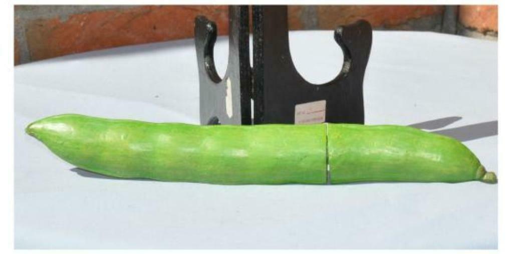 §objet de cuisine decoupe haricot, Enlèvement ou Envoi, Comme neuf, Autres matériaux