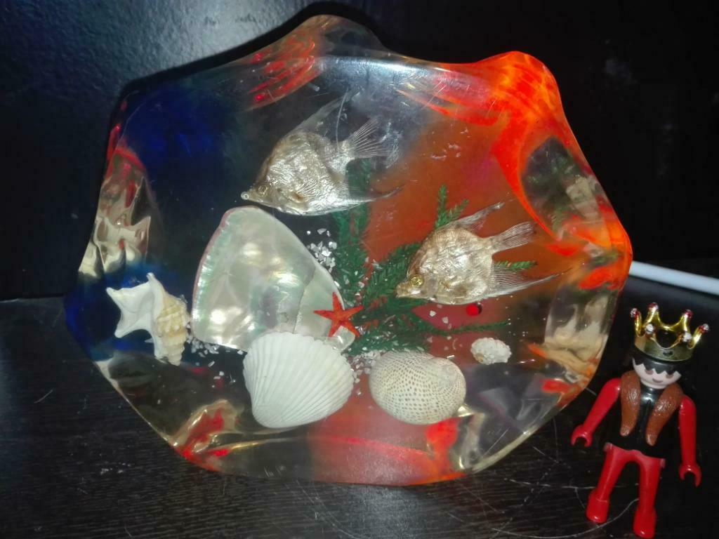 180) vissen en schelpjes (plexiglas?), Enlèvement ou Envoi, Utilisé, Autres, Autres types