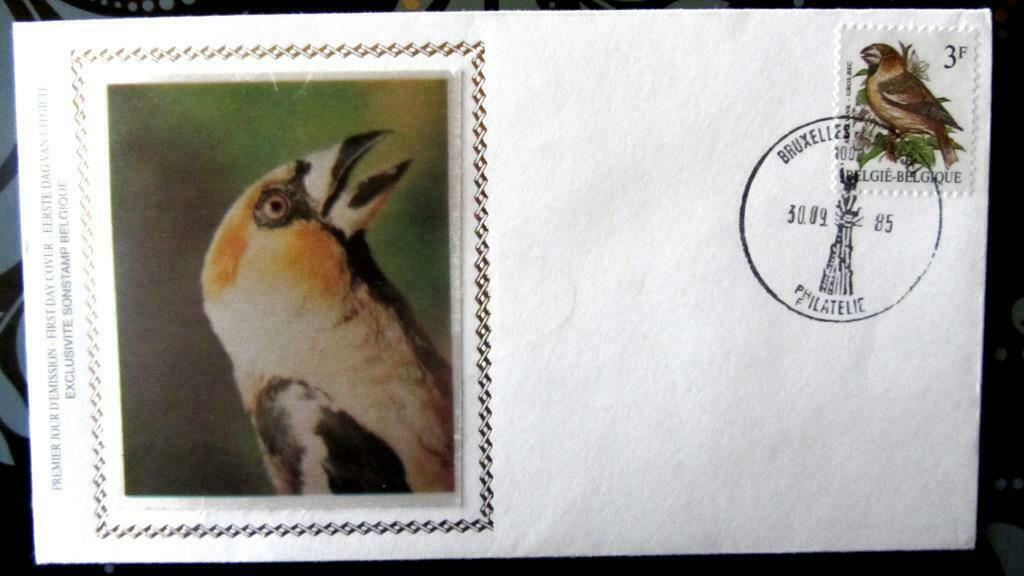 FIRST DAY COVER OP ZIJDE- VOGELS VAN BUZIN- DE APPELVINK, Enlèvement ou Envoi, Affranchi, Animal et Nature