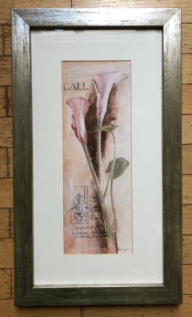 Illustrations encadrées, dessins de fleurs, Enlèvement ou Envoi, Comme neuf, Imprimé