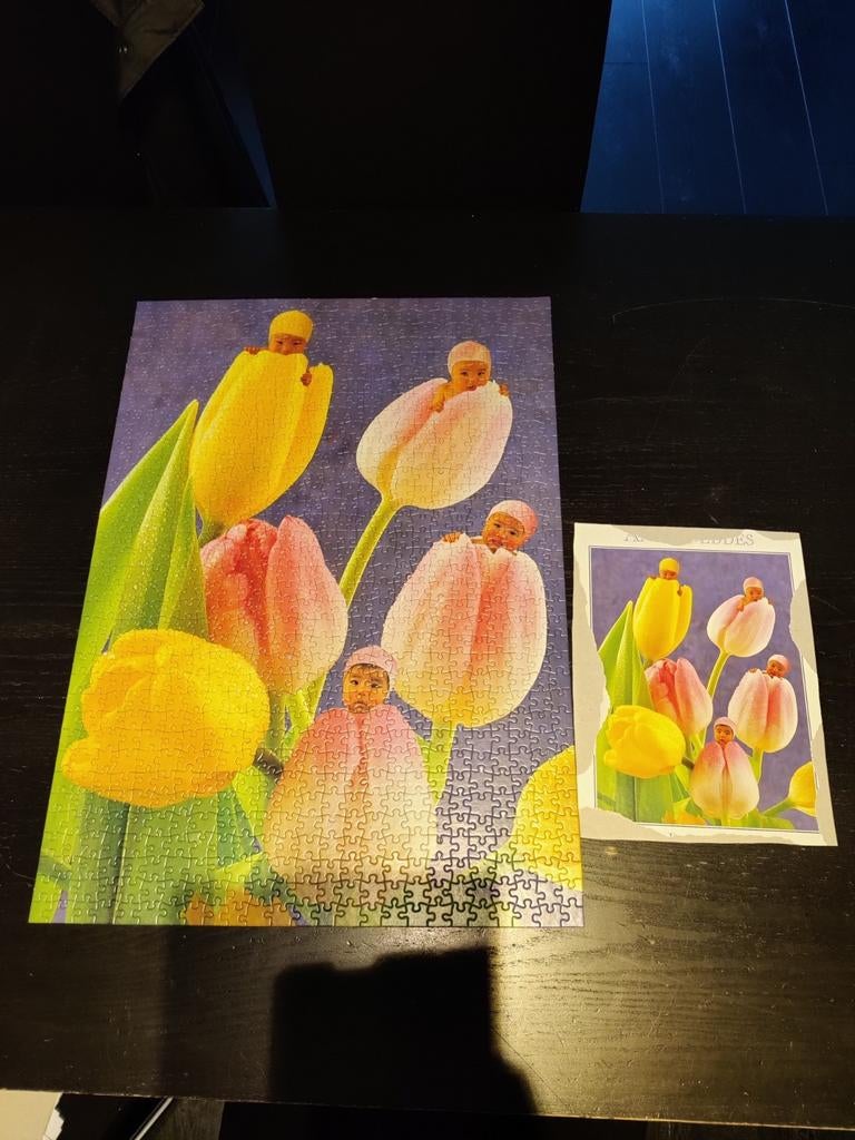 Anne geddes puzzel, Ophalen of Verzenden