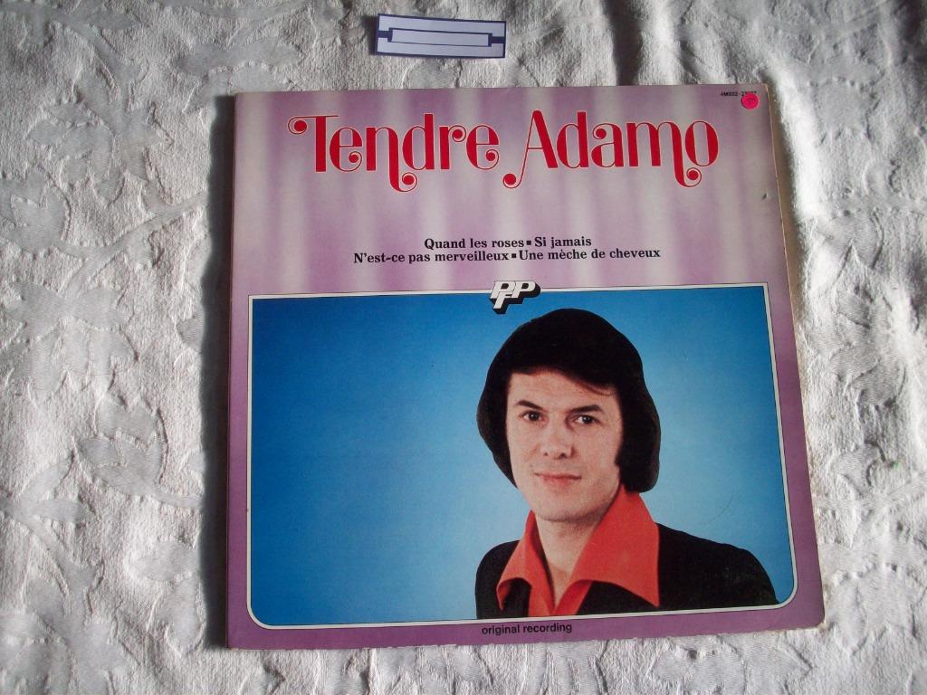 vinyl lp adamo, Ophalen of Verzenden, Zo goed als nieuw, 12 inch