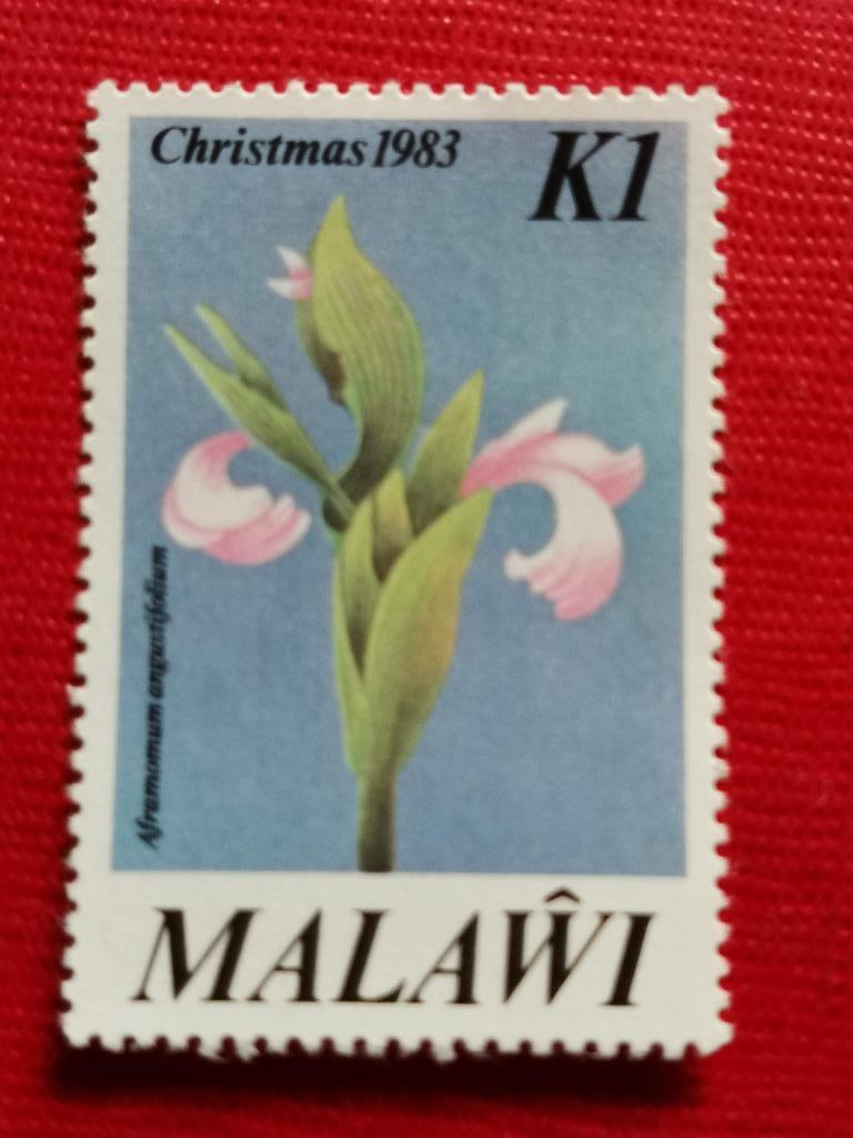 Malawi 1983 - Kerstmis - bloemen - wilde kardemom, Ophalen of Verzenden