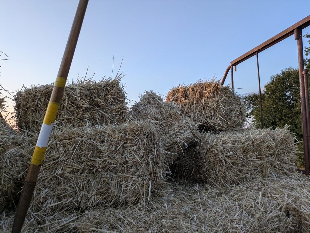 Ballots de paille, Enlèvement