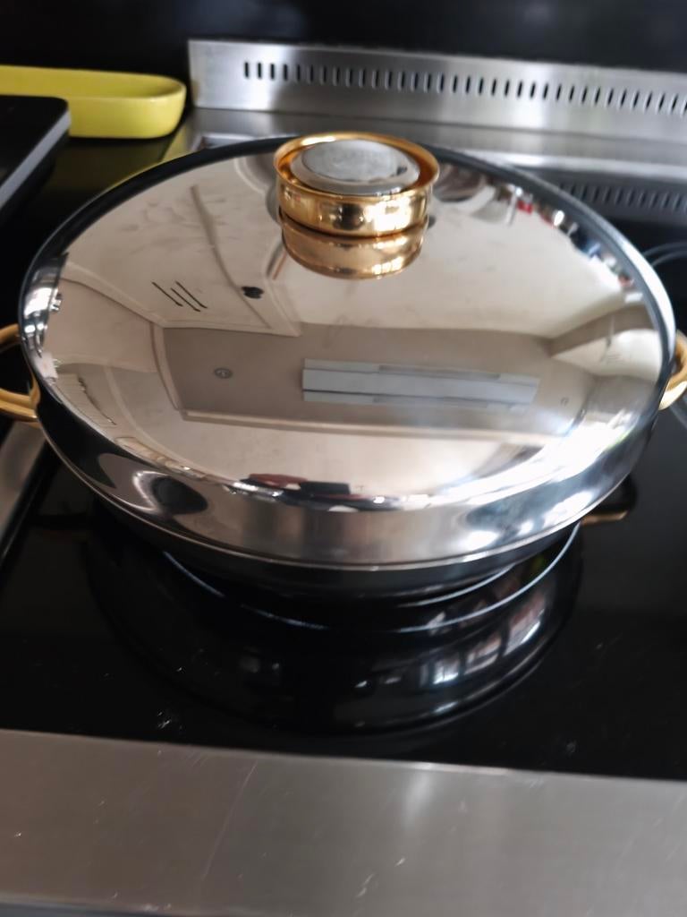 Braadpan Demeyere met Deksel  SUPER staat., Ophalen