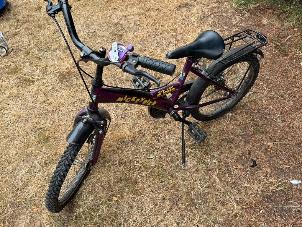 Kinderfiets, Fietsen en Brommers, Ophalen, Gebruikt