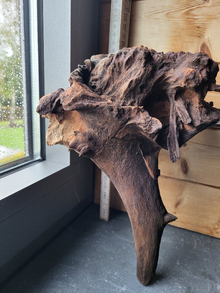 Driftwood (hout voor in aquarium/terrarium), Dieren en Toebehoren, Ophalen of Verzenden, Zo goed als nieuw, Plant(en), Steen of Hout