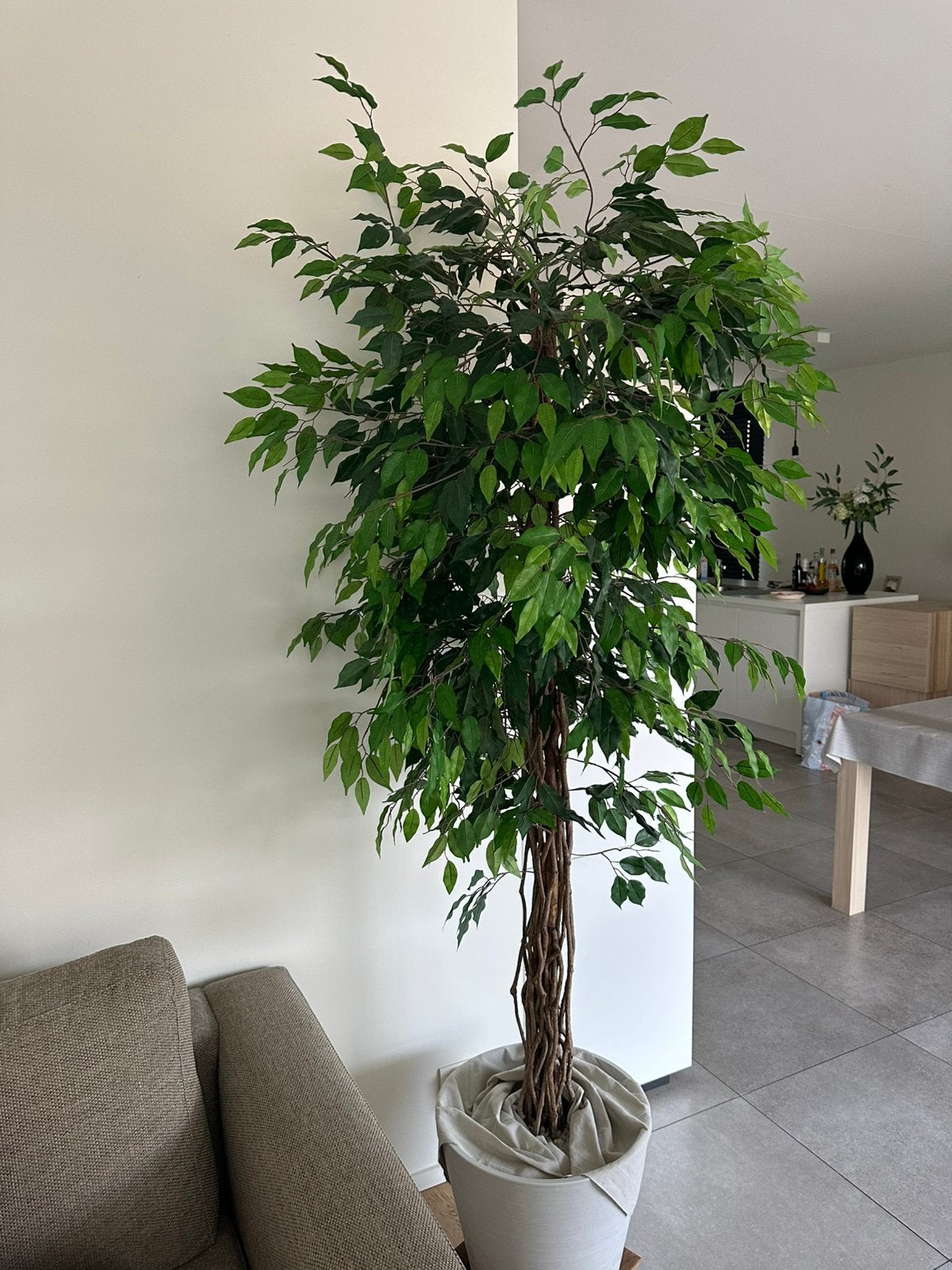 Nep ficus, Huis en Inrichting, Ophalen, Zo goed als nieuw