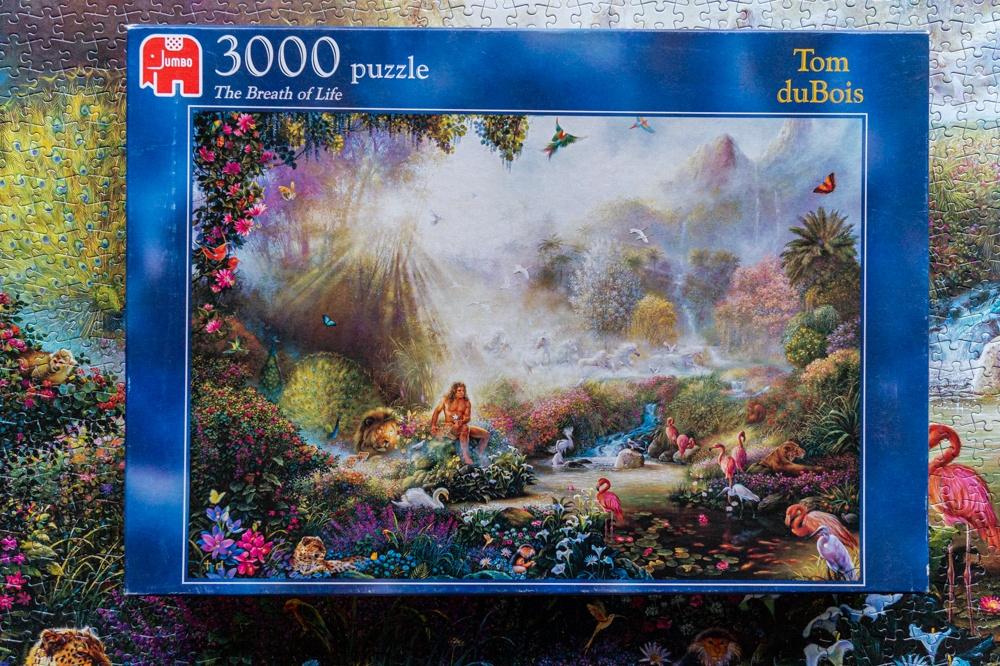 Jumbo puzzel 3000 stukjes te koop., Ophalen, Meer dan 1500 stukjes, Zo goed als nieuw, Legpuzzel