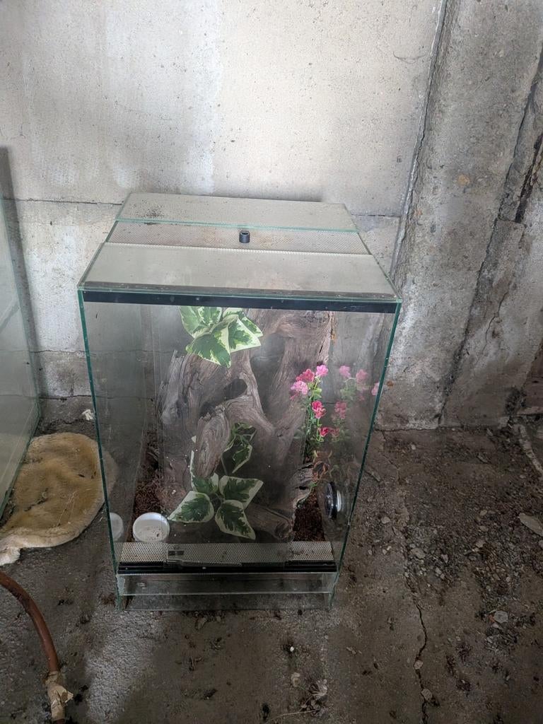 Terarium, Dieren en Toebehoren, Ophalen of Verzenden