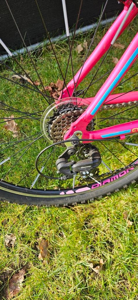 Mountainbike meisjes, Fietsen en Brommers, Ophalen, 24 inch of meer, V-brakes, Diamond