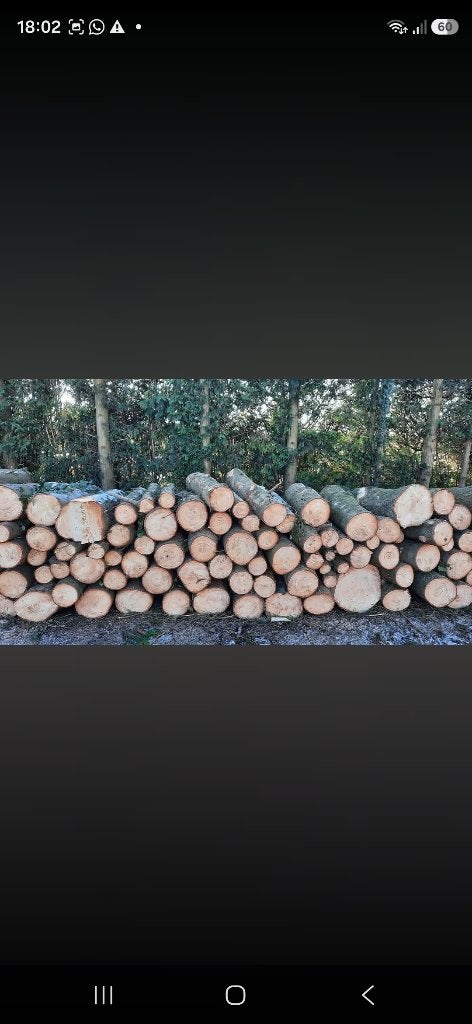 Bois de sapin, Jardin & Terrasse, Enlèvement, Autres essences de bois, Bûches